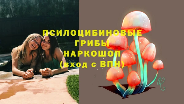 СК Пестово