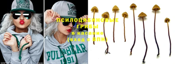 винт Осташков