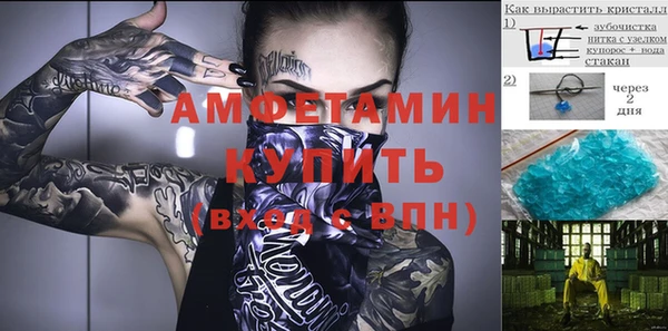 винт Галич