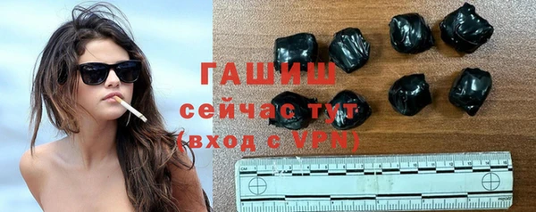 хмурый Пересвет