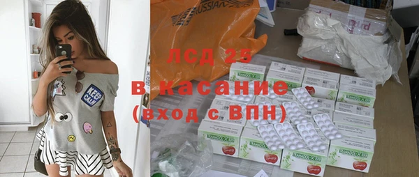хмурый Пересвет