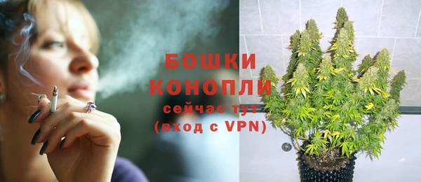 ПСИЛОЦИБИНОВЫЕ ГРИБЫ Остров