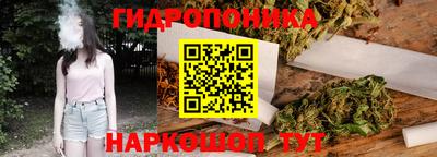 скорость Бийск