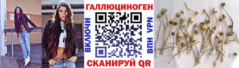 что такое   Когалым  Псилоцибиновые грибы Psilocybe 